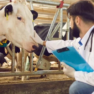 Servizio veterinario AAFVG