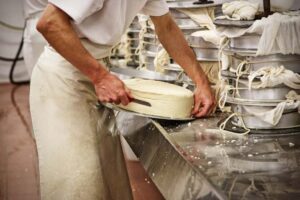 Produzione del formaggio Latteria, Campolessi.