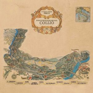 Zona di produzione vitivinicola nel Collio Friulano
