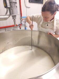 Lavorazione del latte di capra, az. Zore.