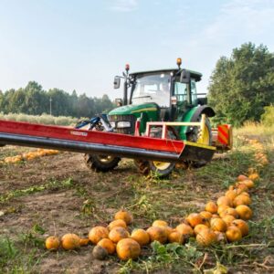 anaxum agricoltura semi di zucca