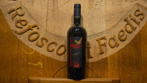 Refosco di Faedis Riserva, cantina Ronc dai Luchis